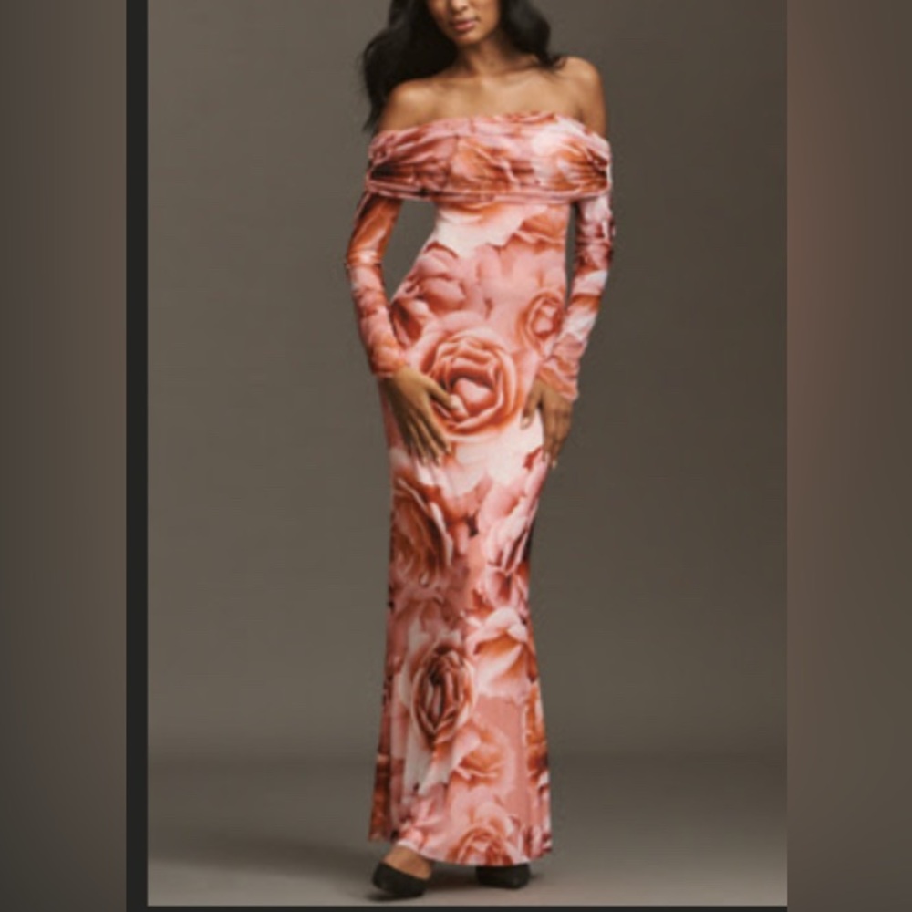 Anthropologie AFRM Violetta Mesh Dress Maxi peach floral rose Size Medium net